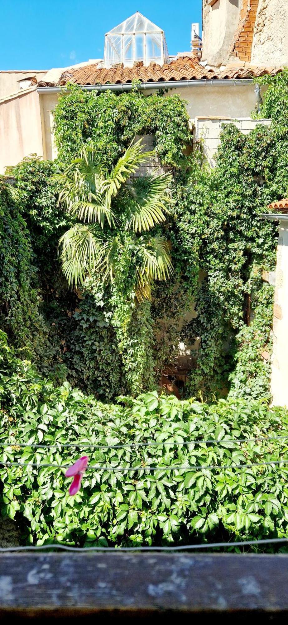 Appartement Plein Centre-Ville Lodeve Bagian luar foto